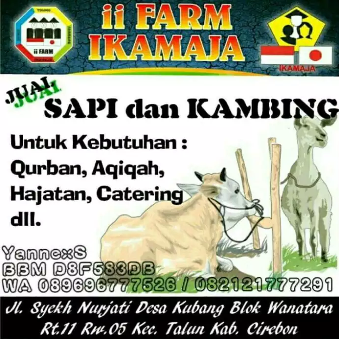 Jual Domba & Sapi untuk Aqiqah-Qurban-Hajatan/Paket Catering Aqiqah