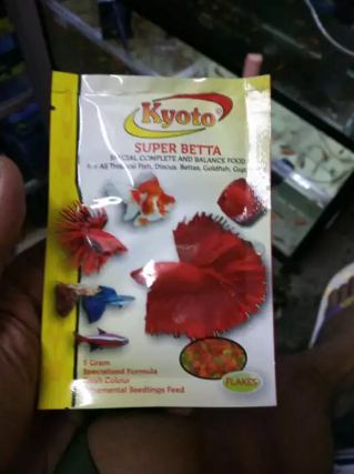 Cacing kering makanan ikan