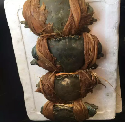 Kepiting Bakau Crab Fresh Murah Kiloan