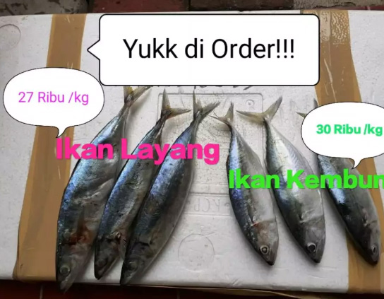 Menjual hasil laut ! kepiting, cumi, udang dan ikan lainnya