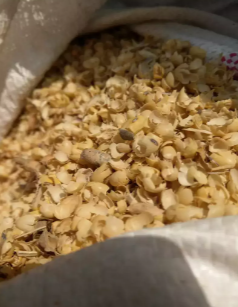 Jual pakan ternak kulit kedelai kering