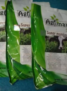 Benih Rumput Untuk Ternak Sapi Yang Berkualitas Baik