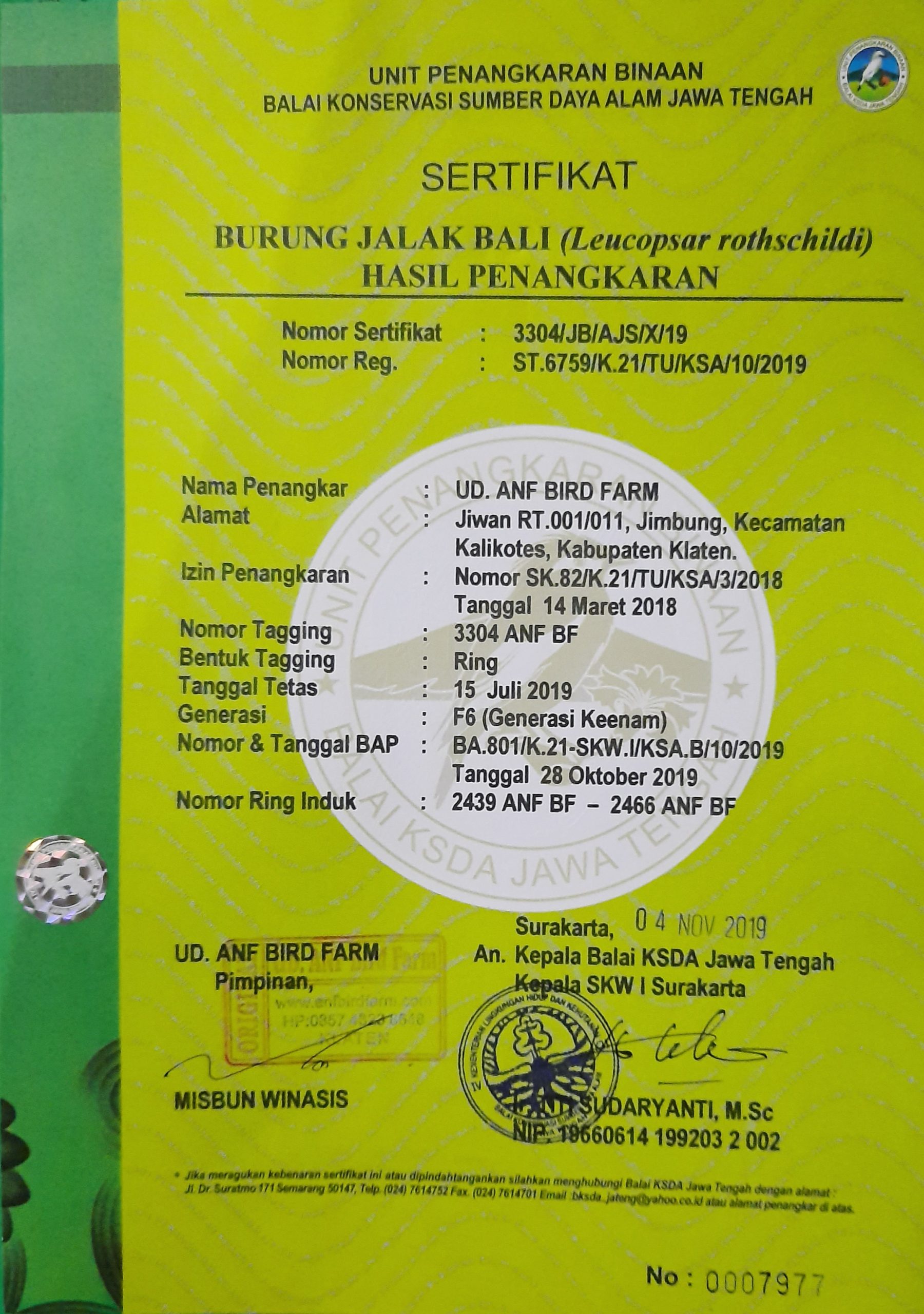 Jalak Bali hasil penangkaran ANF BIRD FARM