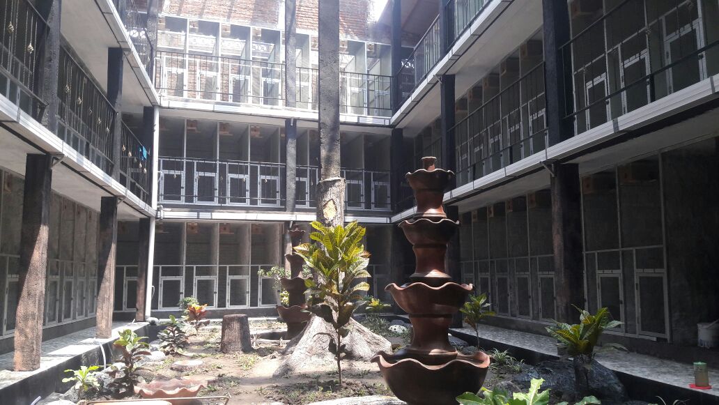 Jalak Bali hasil penangkaran ANF BIRD FARM