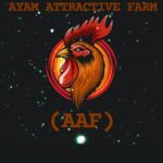 Ayam Attractive Farm